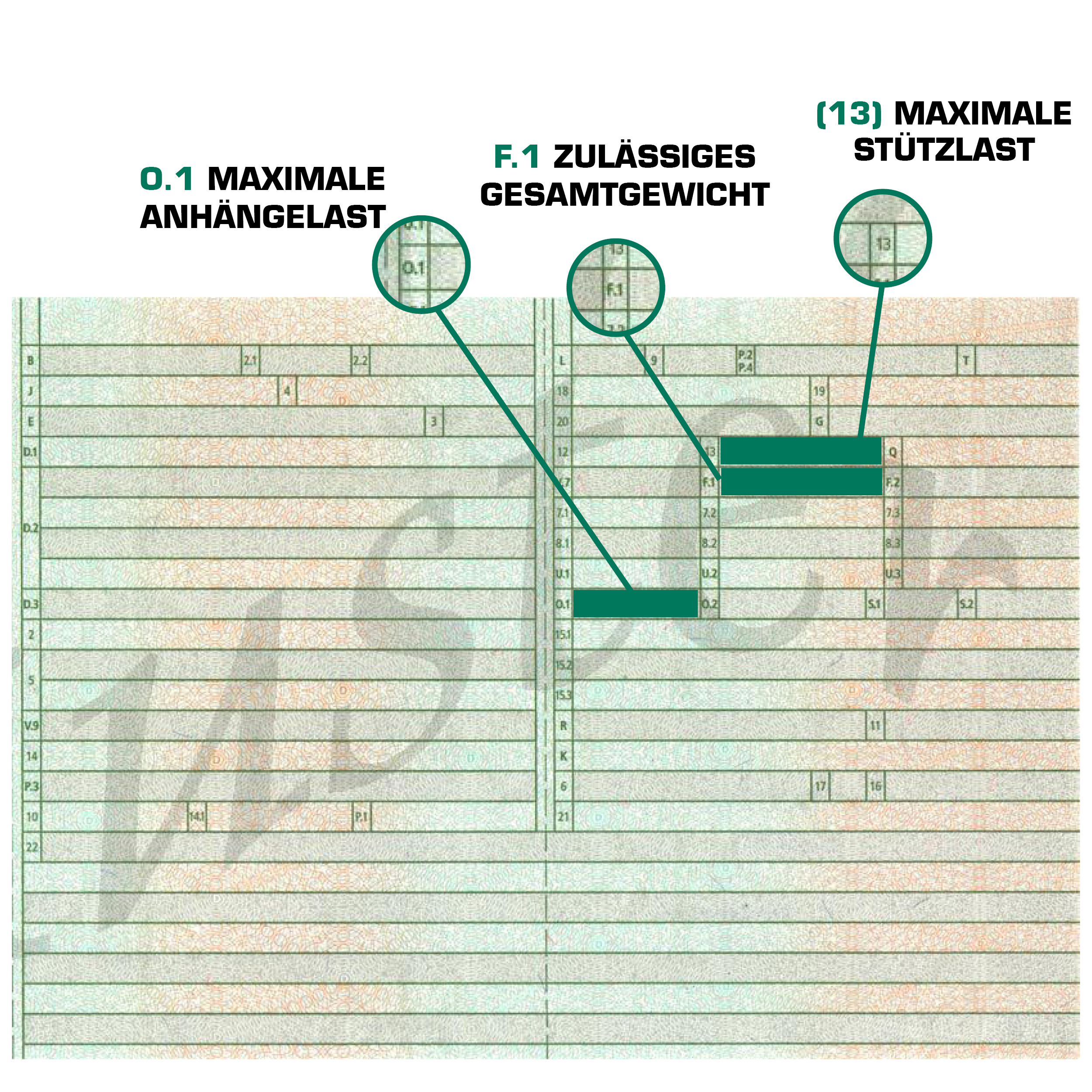 Infografik_Fahrzeugschein